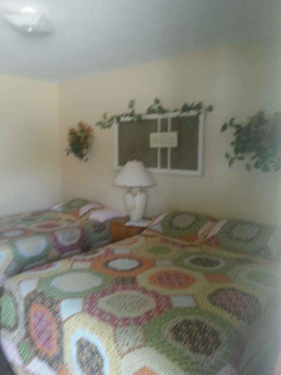 Taneycomo Lakefront Resort Bull Creek ห้อง รูปภาพ